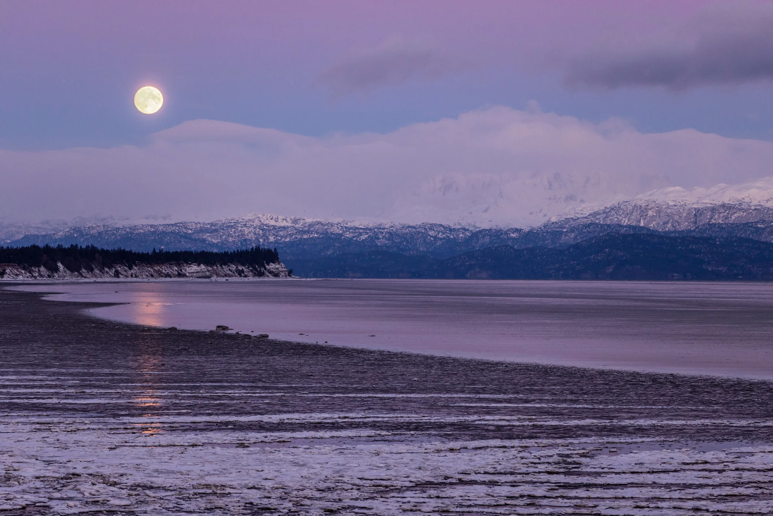 Homer Alaska